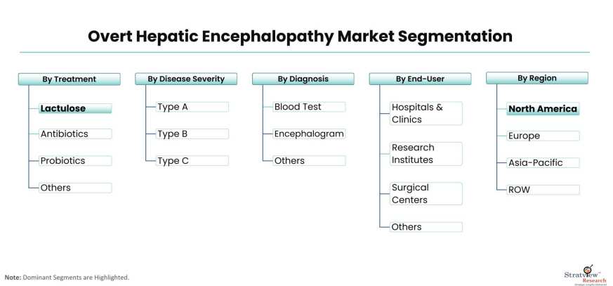Overt-Hepatic-Encephalopathy-Market-Segmentation